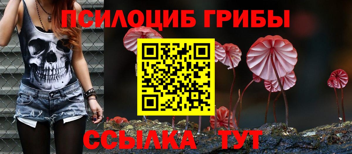 Галлюциногенные грибы прущие грибы  Вход с VPN  Полевской 