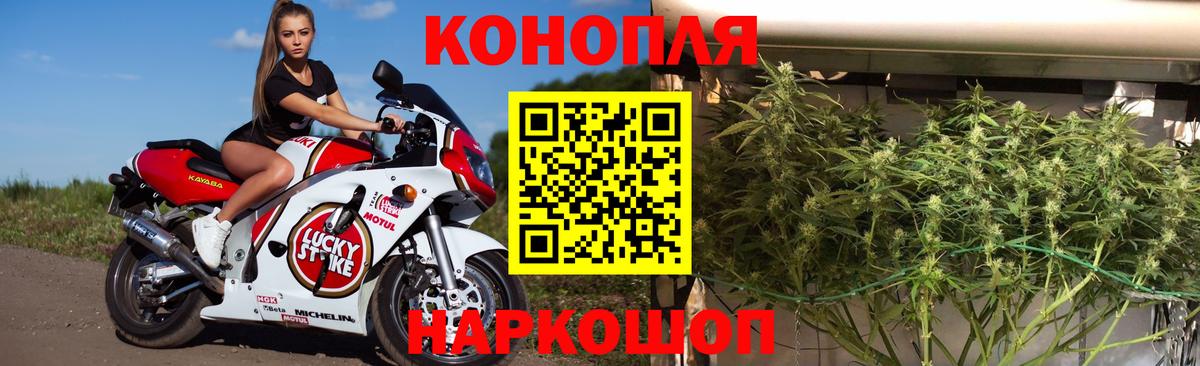 Каннабис семена  Конопля VHQ  Вход с VPN  Каннабис тримм  Полевской 